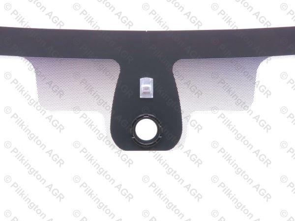 RENAULT FLUENCE 4D SAL 2010; WS CL COATED 