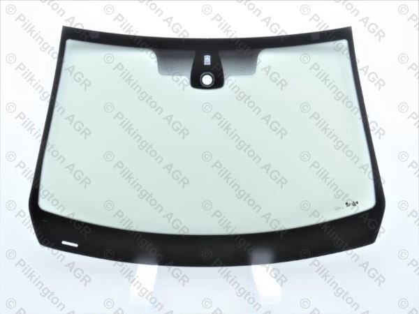 RENAULT MEGANE II 3D 5D 02-;WS CL COATED R