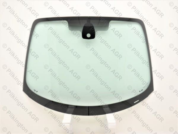 RENAULT MEGANE SCENIC 03-;WS CL COATED RSN