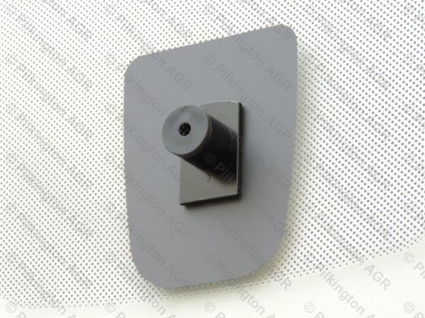 CIT C4 PIC GRAND C4 PIC ; WS CL COATED ACO